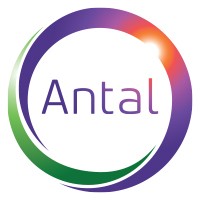 Managing Partner at Antal International